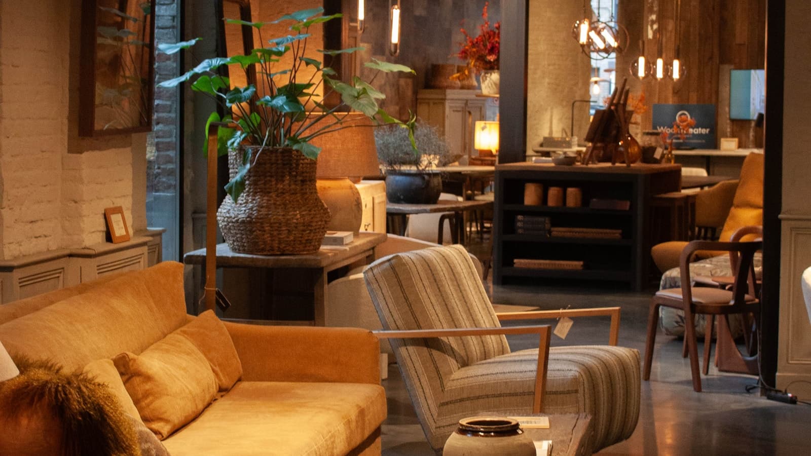 Warm furnished living room with modern seating