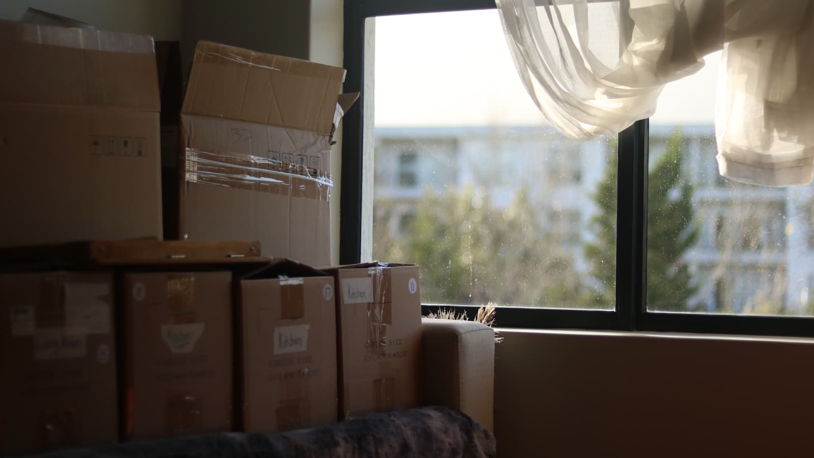 Moving boxes stacked in a sunlit room